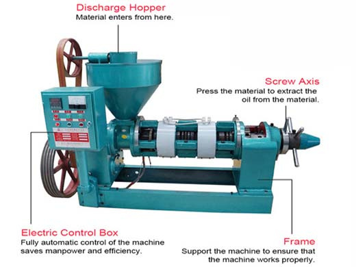 machine d'extraction d'huile moulin à huile de tournesol en france