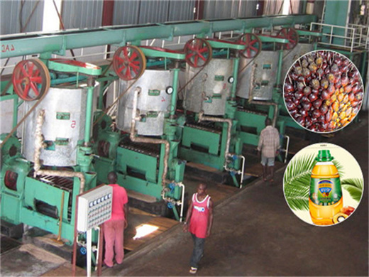 machines semi-automatiques de moulin à huile de palme en gros au cameroun