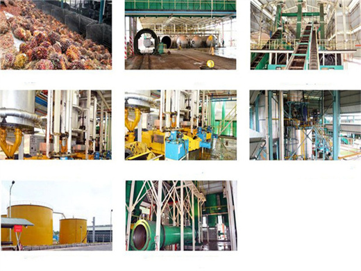 Nouvelle machine de presse à vis d'huile de palmiste de conception au Congo