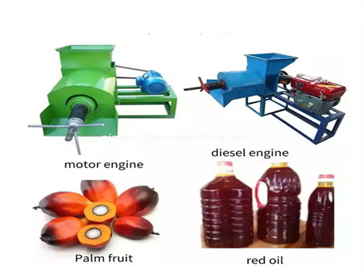 équipement de fabrication automatique d'huile de palme à bas prix au congo