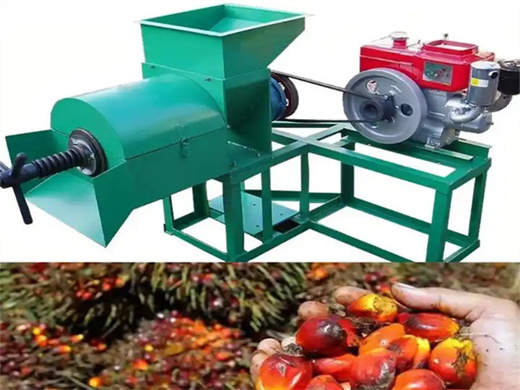 machine de traitement d'huile de fruit de palme à prix inférieur à boromo