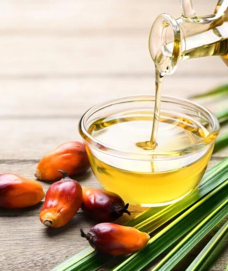 Usine d'huile de palme
